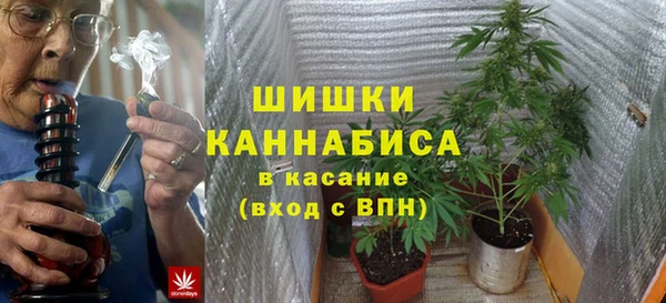 дживик Дмитров