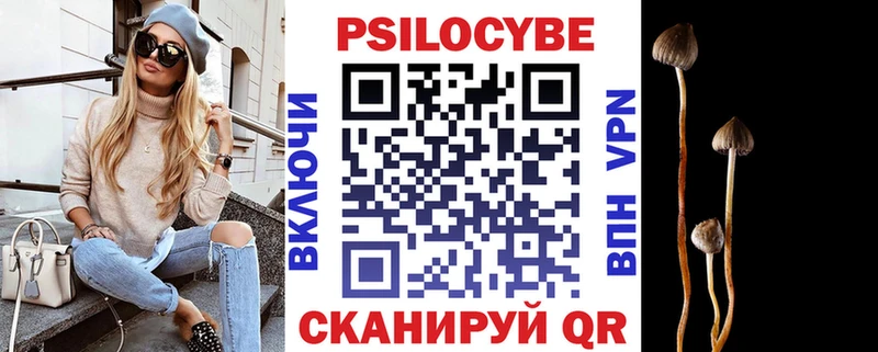 Псилоцибиновые грибы Psilocybine cubensis  Зея 